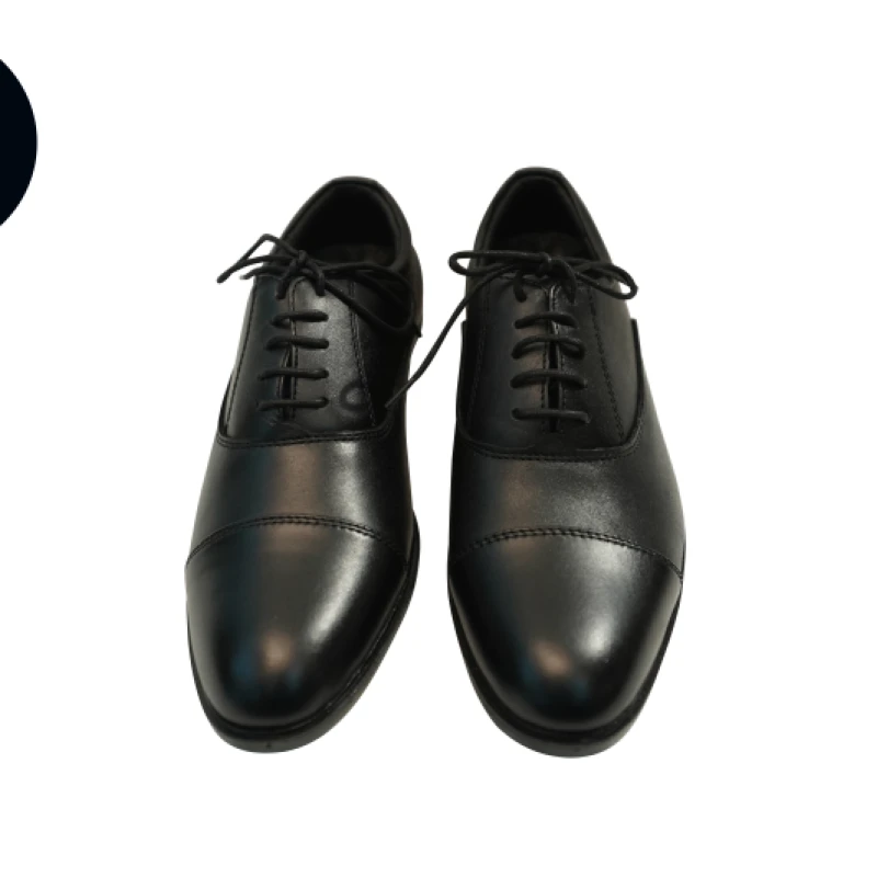 BD Brand Comfort Formal Shoes